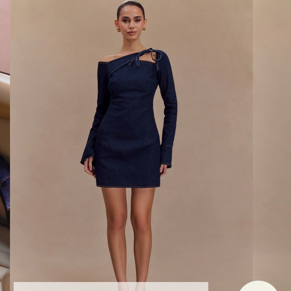 Meshki denim long sleeve mini dress